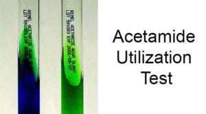 Acetamide Utilization Test- Principle, Procedure and Expected Results