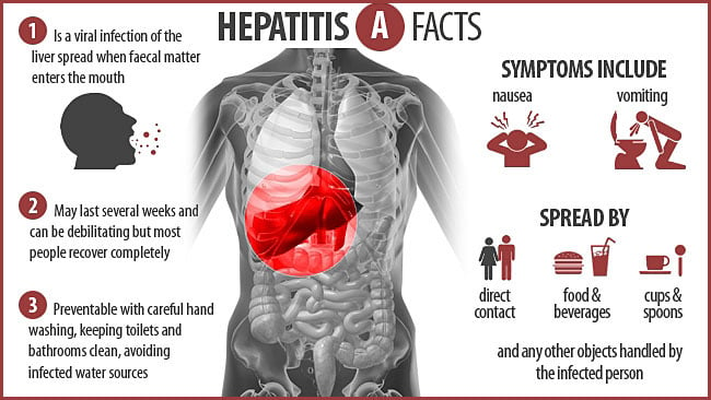 Clinical Manifestations of Hepatitis A Virus