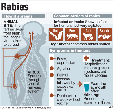 Clinical manifestations of Rabies Virus