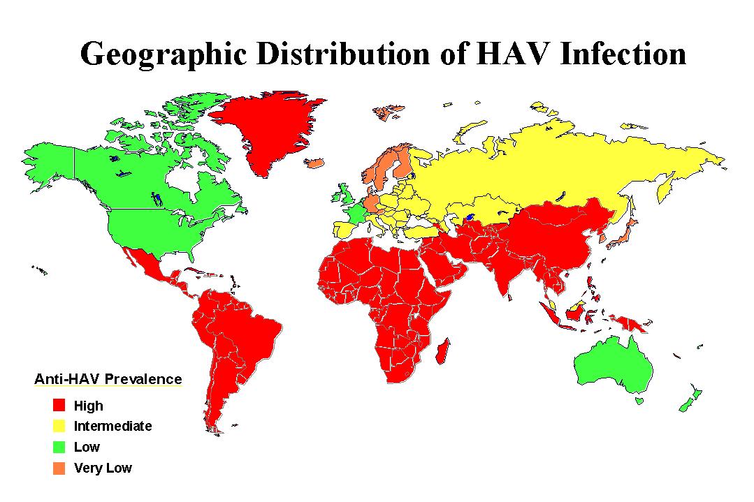Epidemiology of Hepatitis A Virus