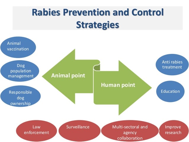 Management, Prevention and Control of Rabies Virus