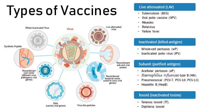 Vaccines- Introduction and Types