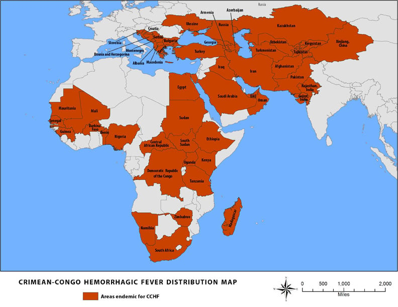 Epidemiology of Crimean-Congo Hemorrhagic Fever Virus