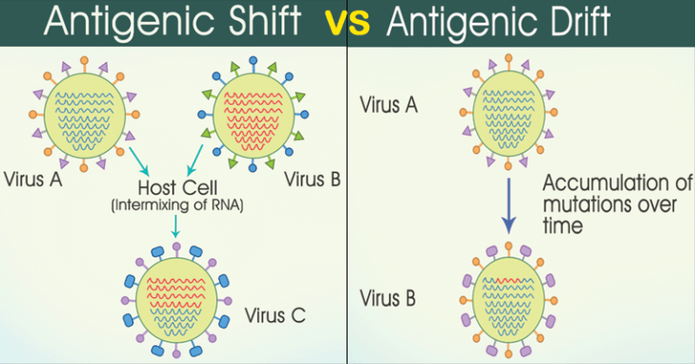 antigenic shift covid 19