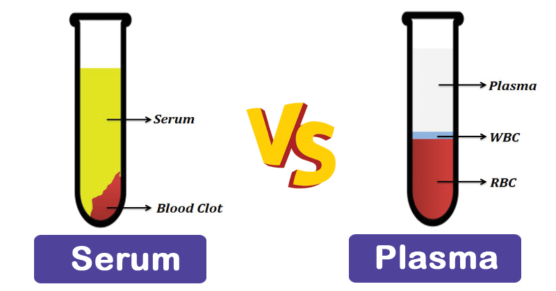 Differences between Serum and Plasma - Microbiology Notes