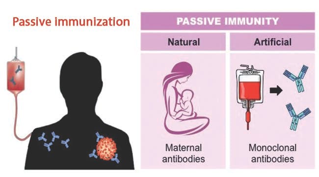 Passive immunization with advantages and drawbacks