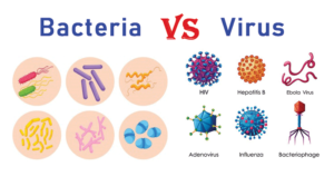 Differences Between Bacteria and Virus