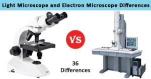 Differences between Light and Electron Microscope