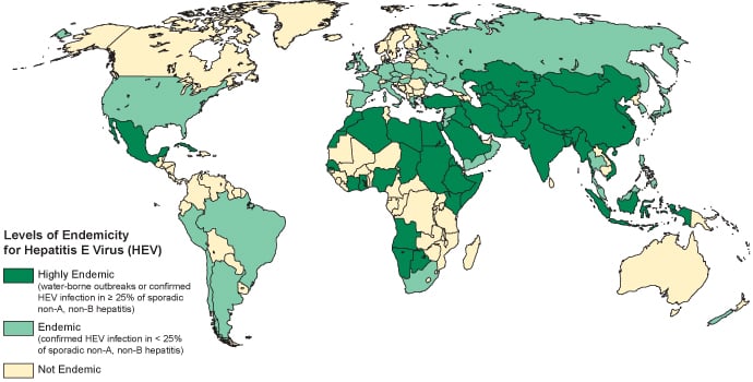 Epidemiology and Transmission of Hepatitis E Virus