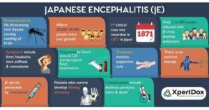 Japanese Encephalitis (JE) Virus
