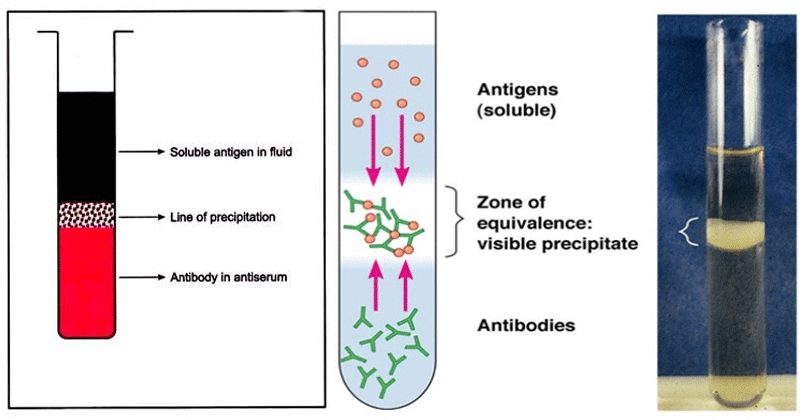 precipitate tests