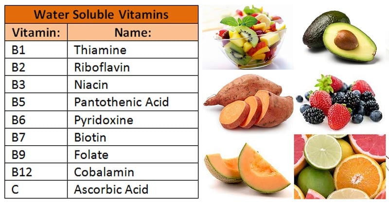 Water Soluble Vitamins- B-Complex and C
