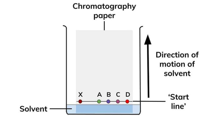 what does the term paper chromatography mean