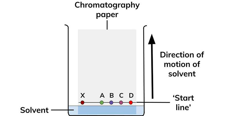 Paper Chromatography