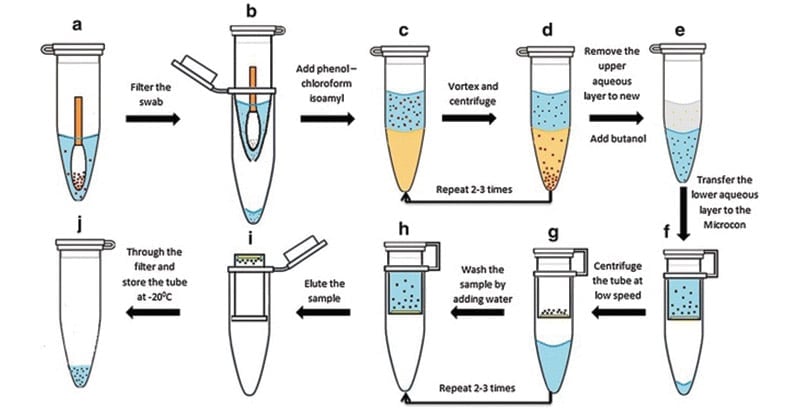 Protocol Phenol-chloroform extraction of prokaryotic DNA