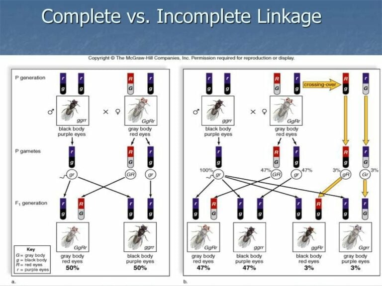 linkage-characteristics-types-and-significance