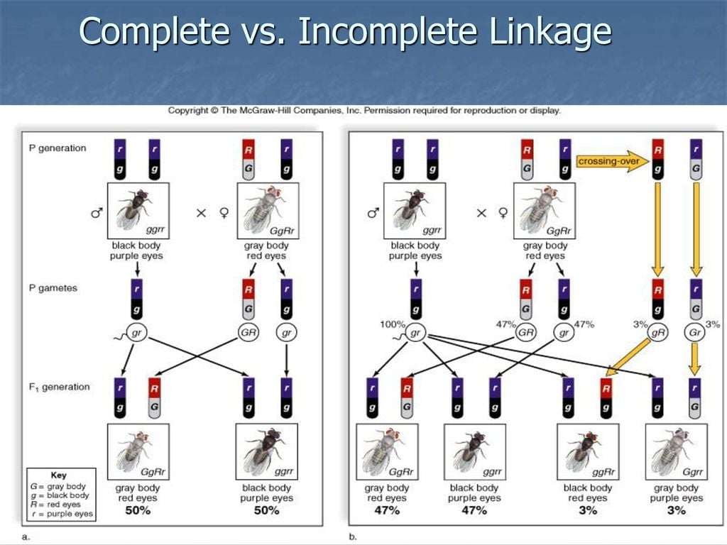Types of Linkage