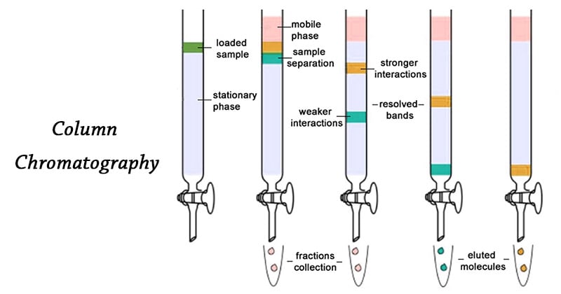 Cromatografía en columna