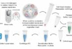 Isolation of Mitochondria from Cell Culture Isolation of Mitochondria from Cell Culture