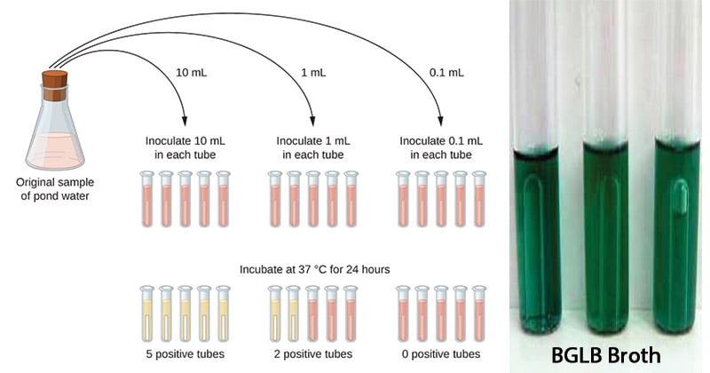 Water Quality Analysis by Most Probable Number (MPN)