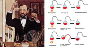 Louis Pasteur and his contributions