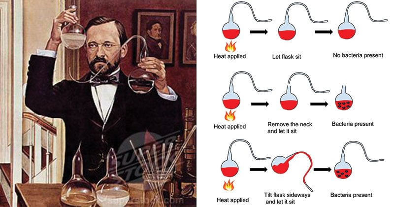 louis pasteur vaccine