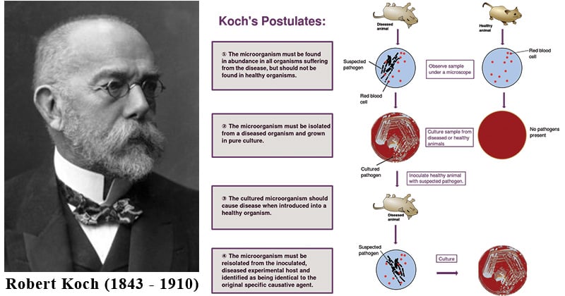 Robert Koch and Koch's Postulates