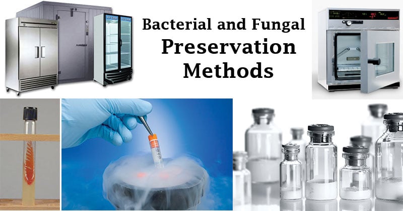 Bacterial and Fungal Preservation Methods