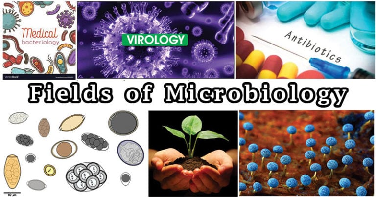 recent research in microbiology field