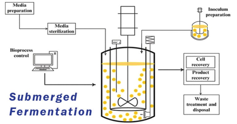 Diskussion zur Gärungstechnologie in der Biologie - SubmergeD Fermentation 768x403