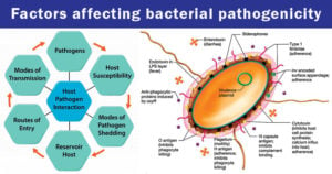 Factors affecting bacterial pathogenicity