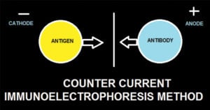 Counter Current Immunoelectrophoresis