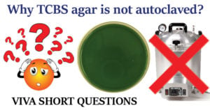 Why TCBS agar is not autoclaved