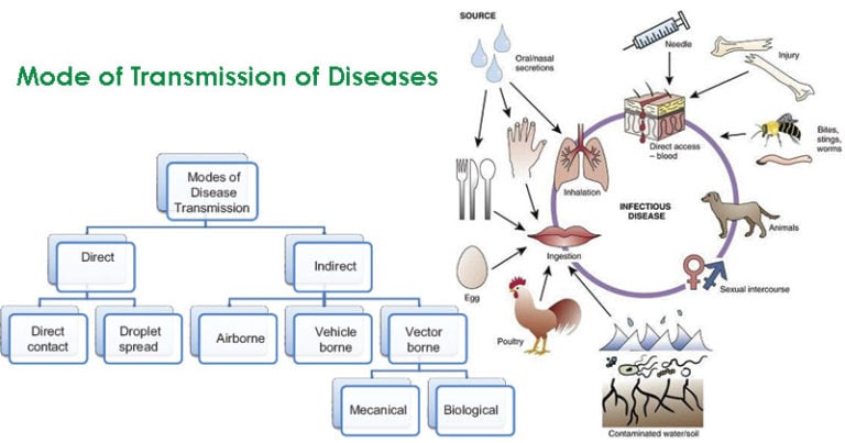 mode-of-transmission-of-diseases-epidemiology-microbe-notes