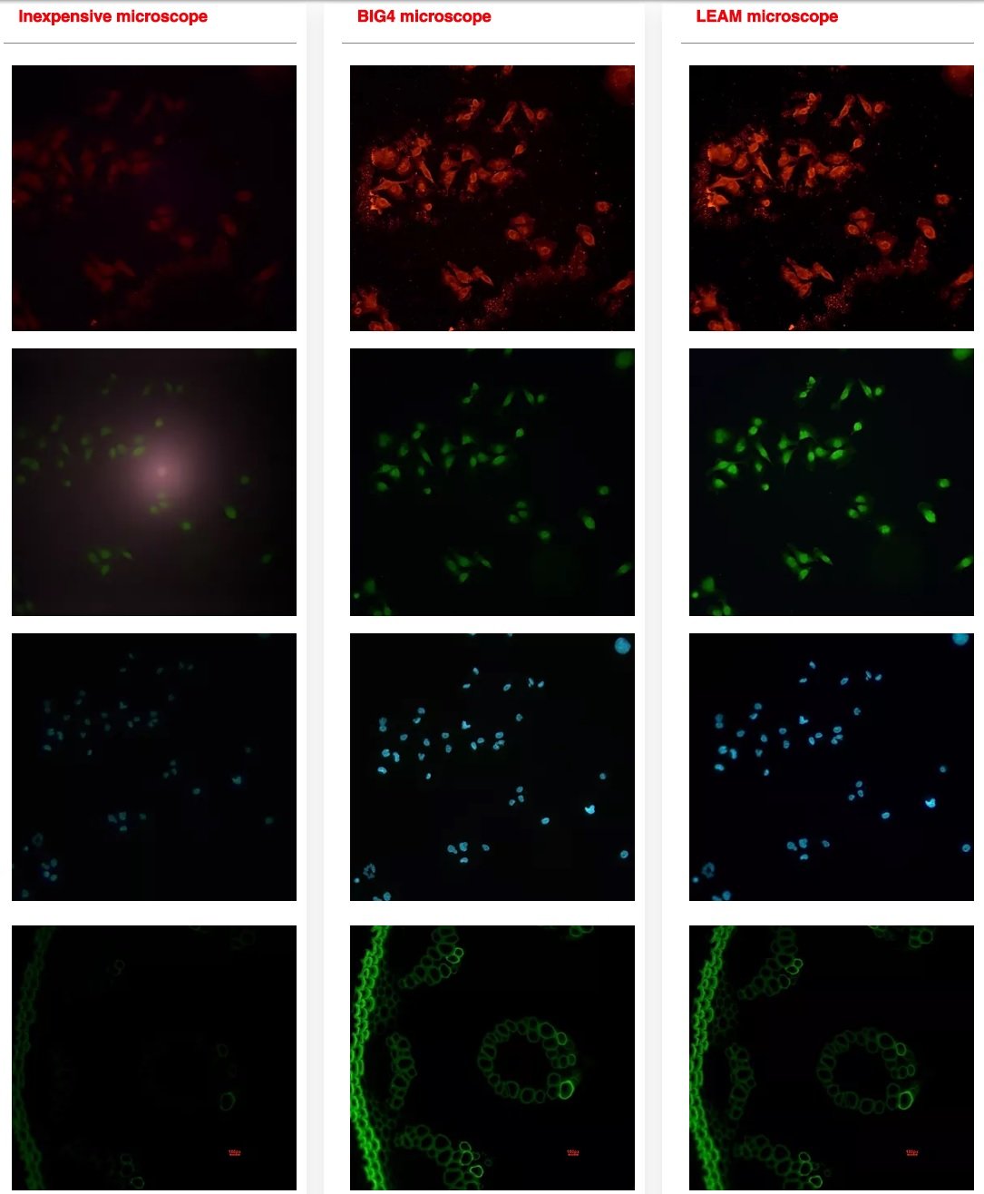 Comparison of fluorescence images