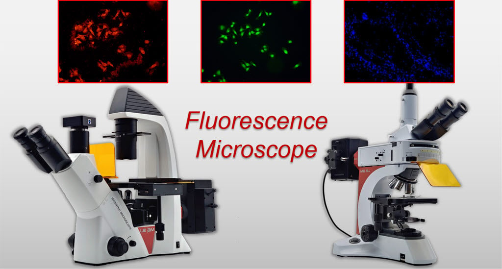 Mikroskop Fluoresensi dari LEAM Solution Inc