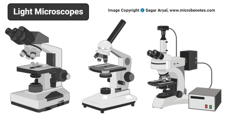 Digrama do microscópio luminoso
