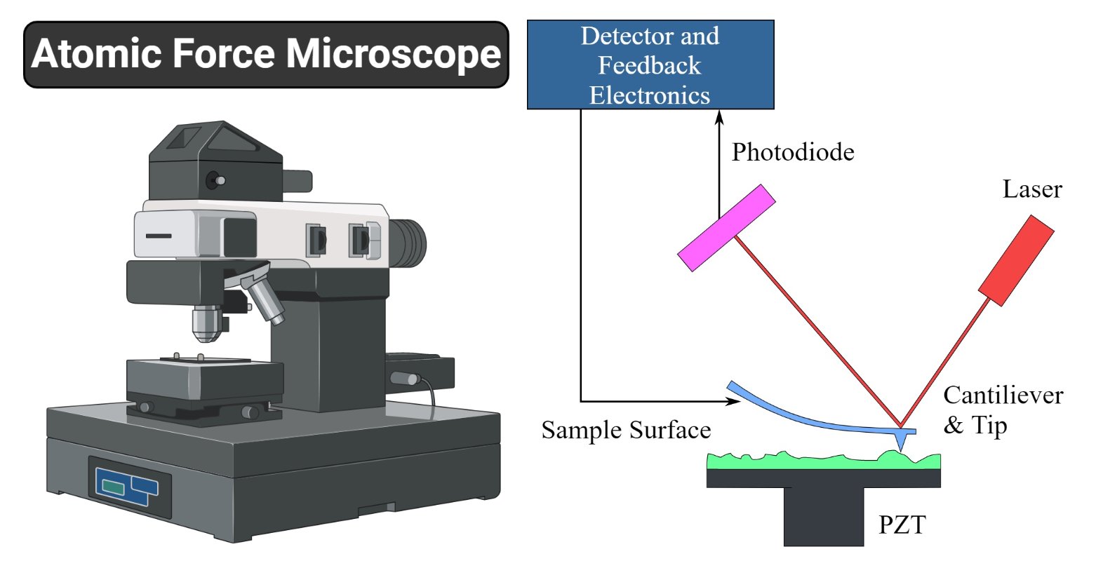 Atomic Force Microscope (AFM)
