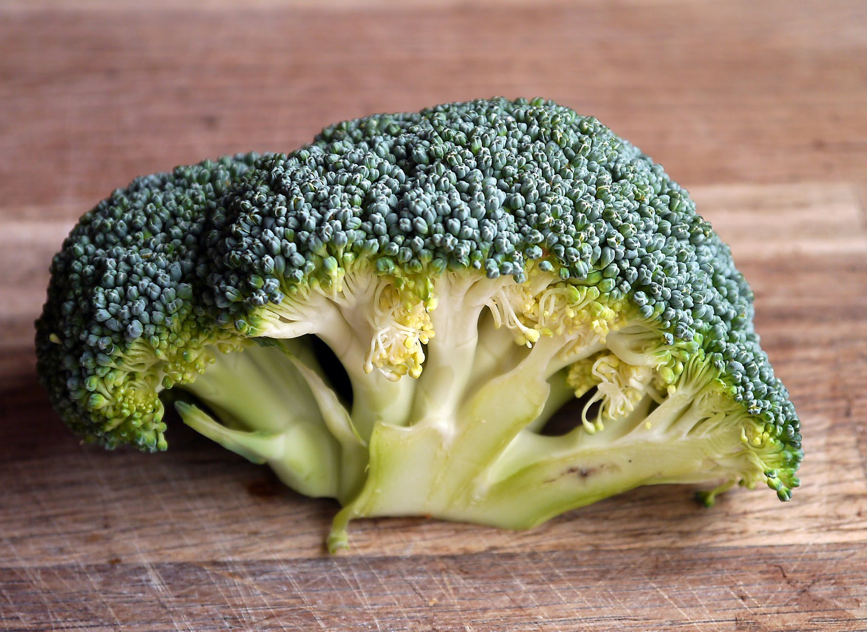 Broccoli as Immune Booster Food