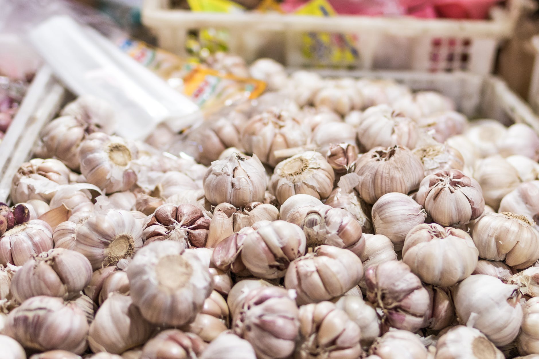 Garlic as Immune Booster Food