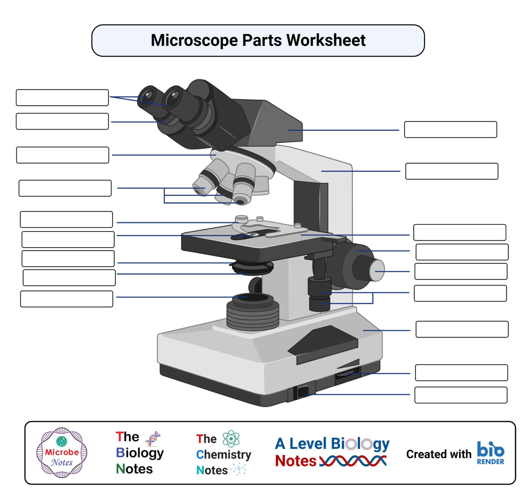 The Parts Of A Microscope Worksheet