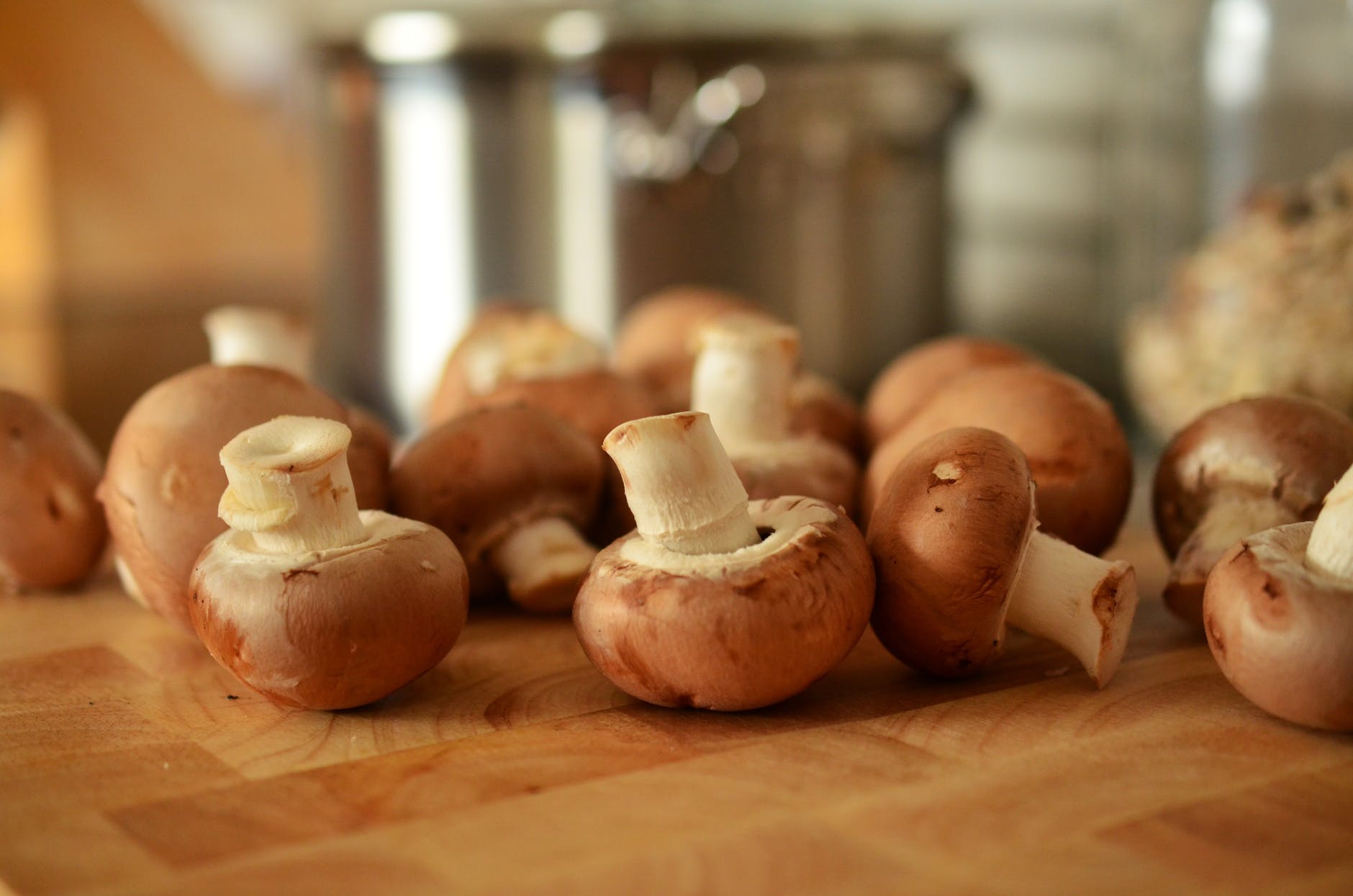 Mushrooms as Immune Booster Food