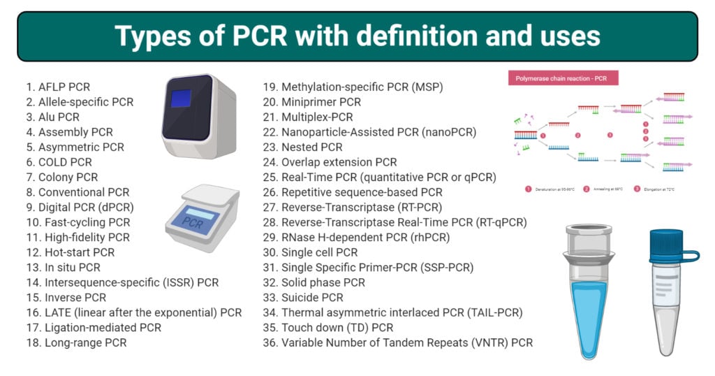 Types of PCR (Polymerase chain reaction)- definition and uses