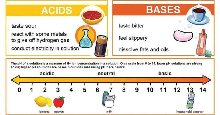 what is the difference between acids and bases