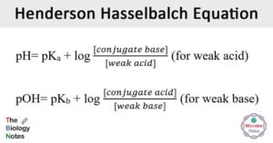 Henderson-Hasselbalch-Equation