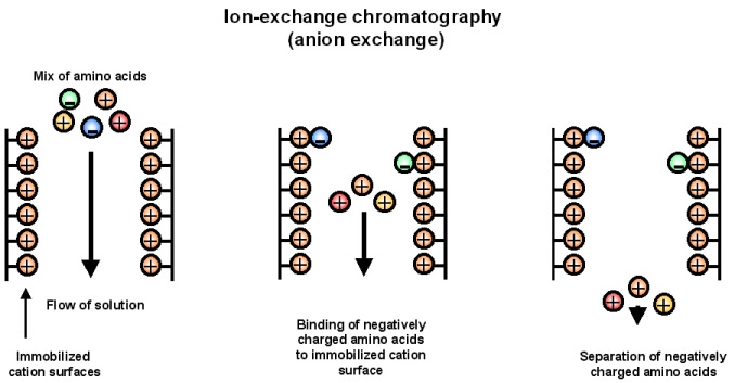 14 Types Of Chromatography Definition Principle Steps Uses 