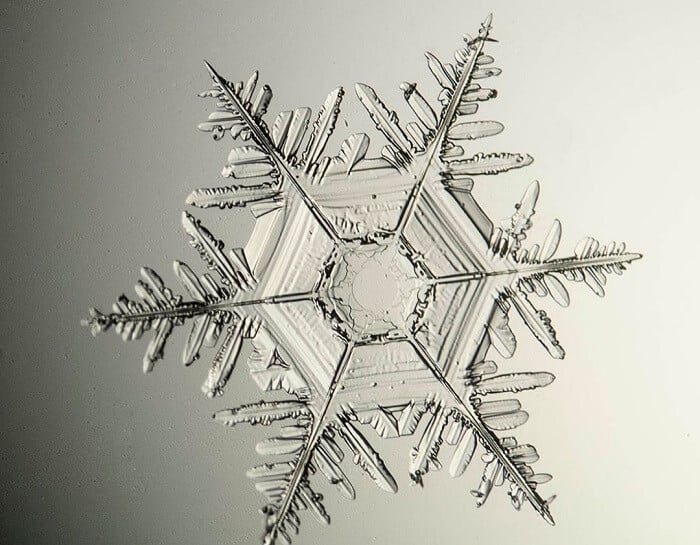Snowflake under the microscope