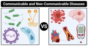 communicable and non-communicable diseases differences
