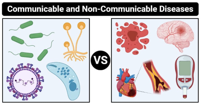 Communicable vs Non-communicable Diseases- Definition, 17 Differences