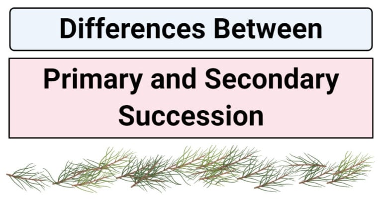 What Are Two Types Of Secondary Succession